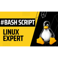 Linux bash shell scripting for automation