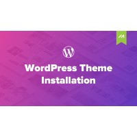 Install any wordpress theme and fix issues